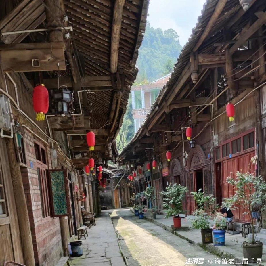 寒冬进补吃牛羊肉不如吃它,特补脾胃,滋养驱寒,炖上一锅真馋人